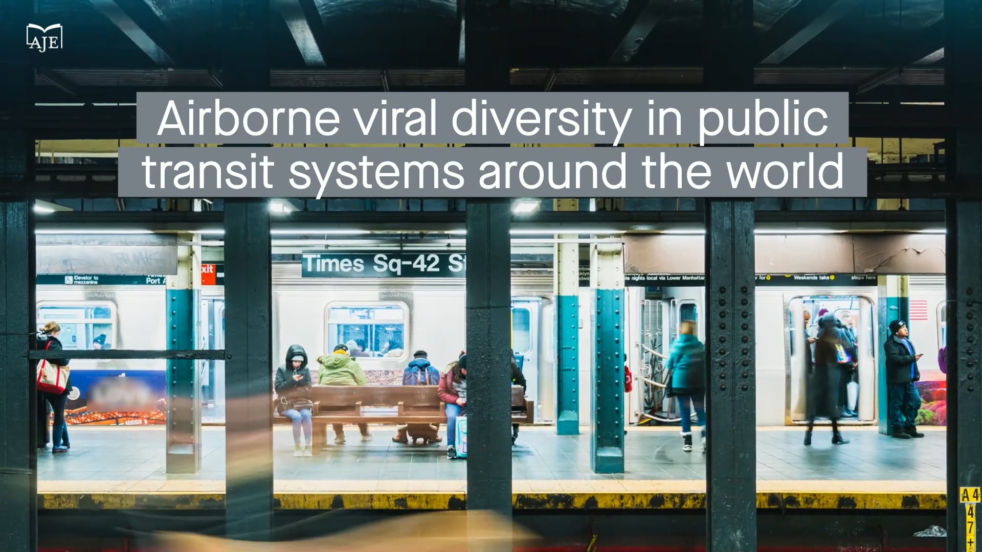 Airborne viral diversity in public transit systems around the world