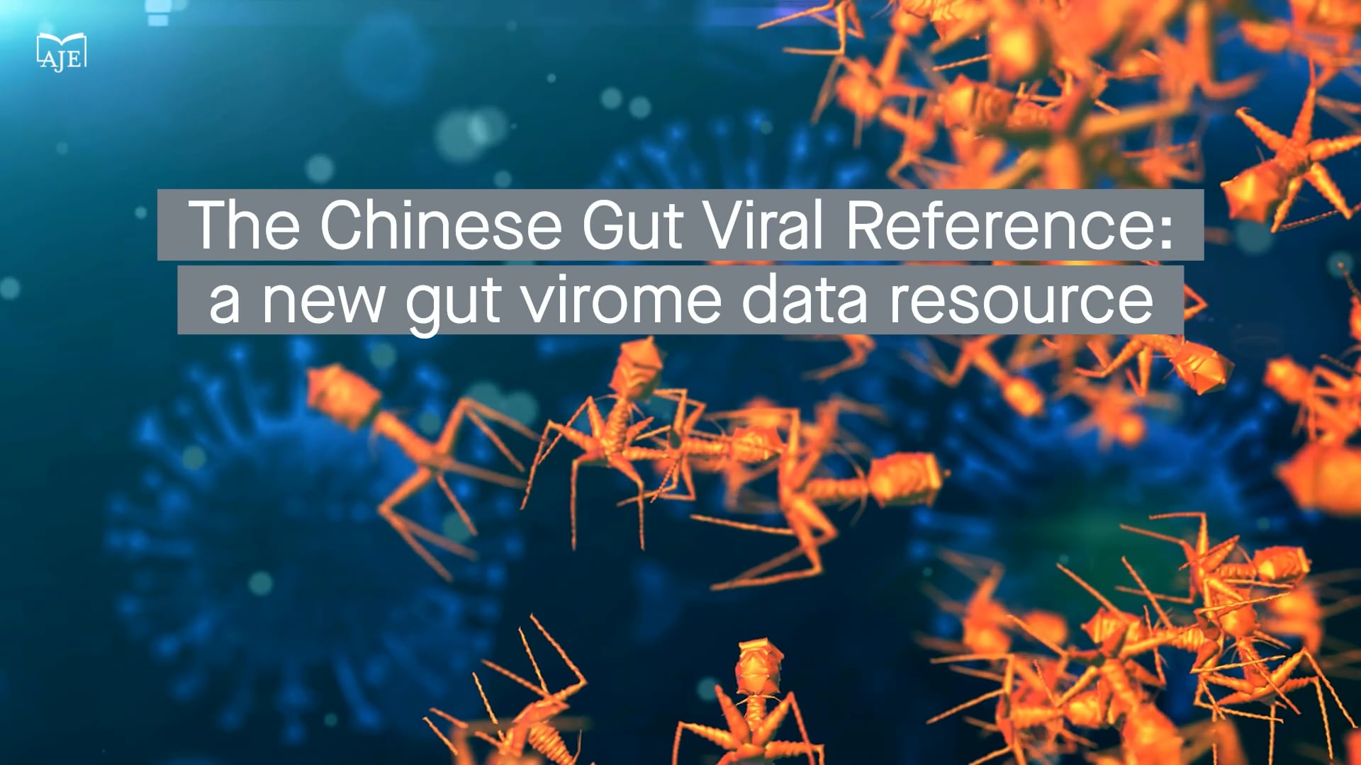 The Chinese Gut Viral Reference: new gut virome data resource reveals population-level genetic variation