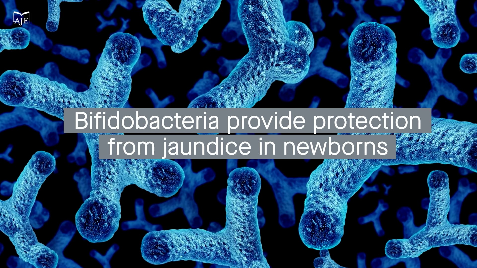 Bifidobacterium species linked to breastfeeding provide protection from jaundice in newborns